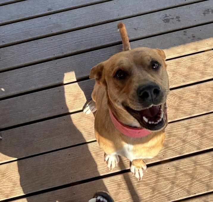 Photo of PRINCESS