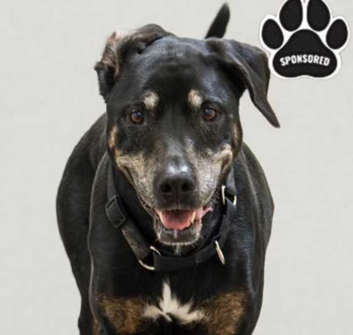 Photo of Annie