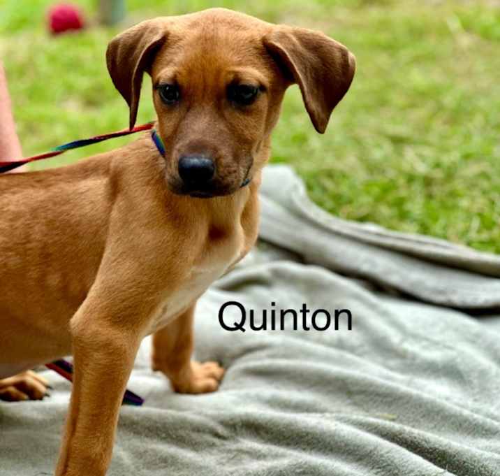 Photo of Quinton