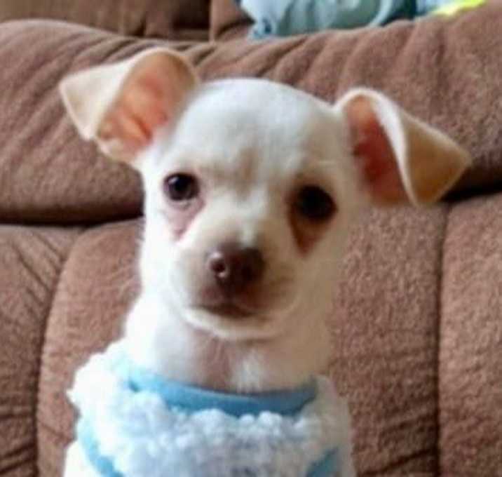 Photo of Skye