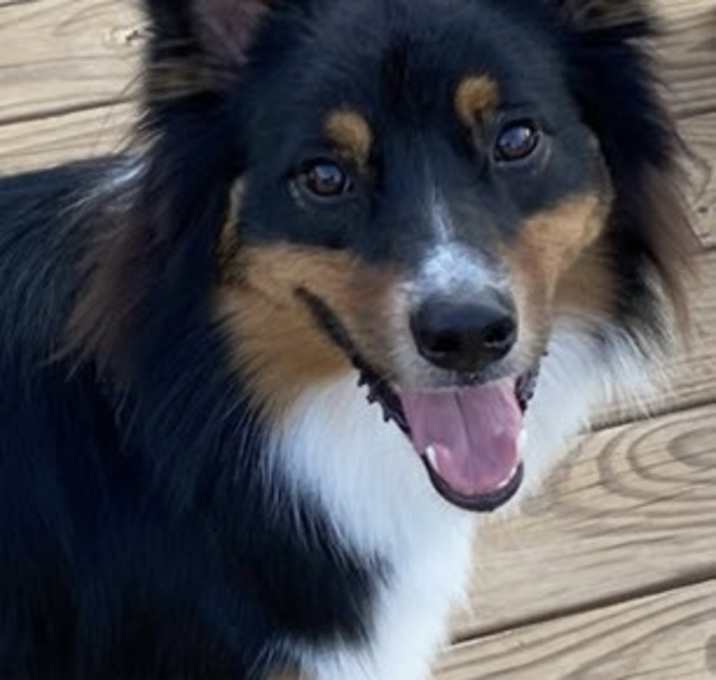 Photo of Atlas