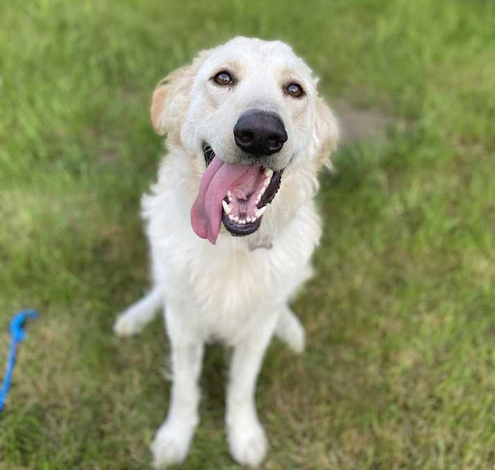 Photo of Boba