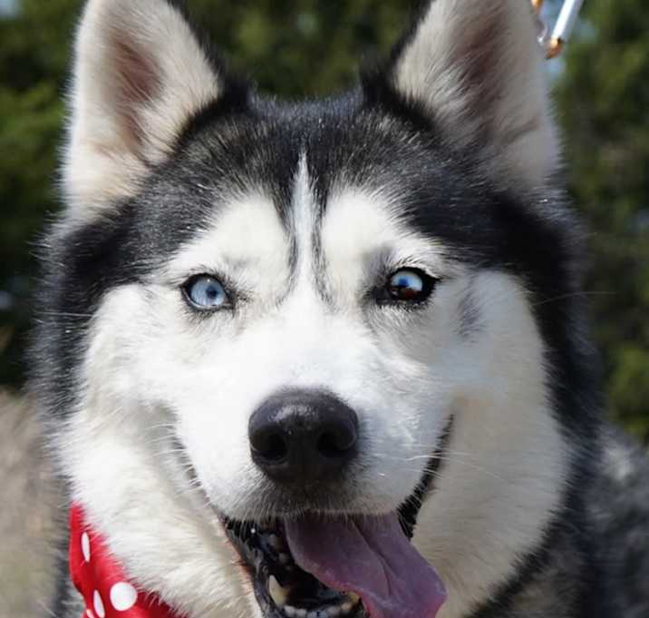 Photo of Athena