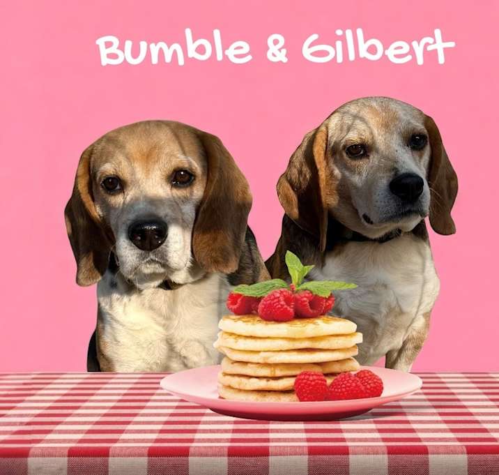 Photo of Bumper (bonded w/ Gilbert)