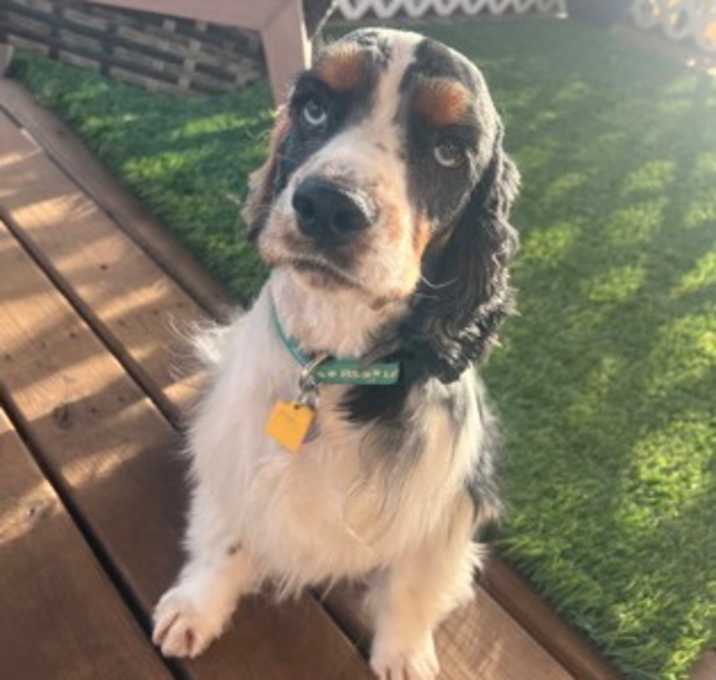 Photo of Lucky Boy