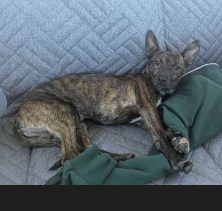 Photo of Rudy