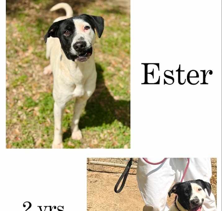 Photo of Ester