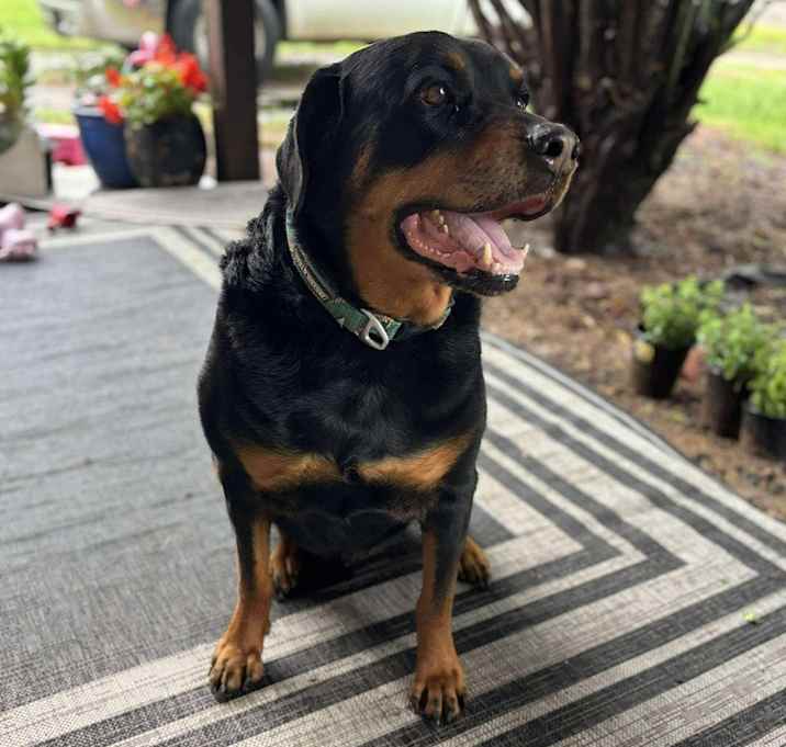Photo of Jude