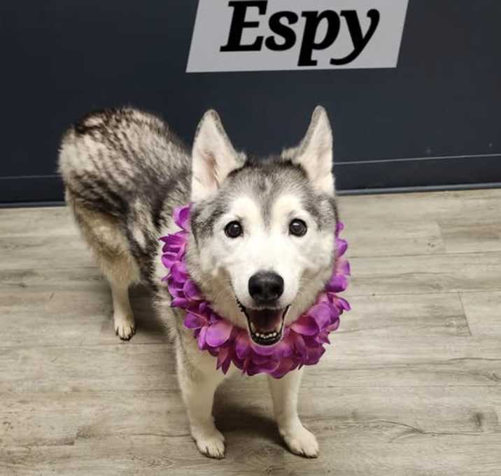 Photo of Espy