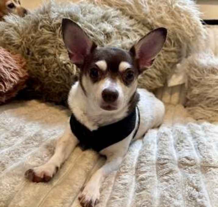 Photo of Chuck