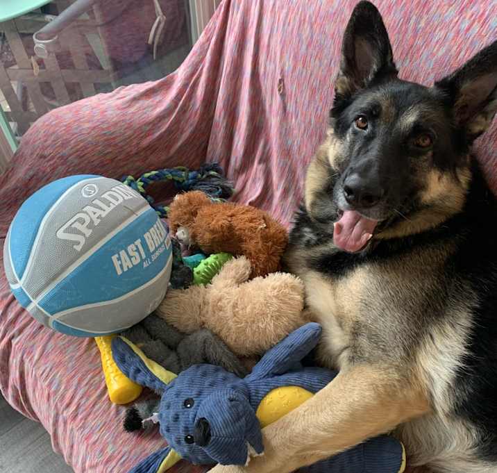 Photo of Rebel
