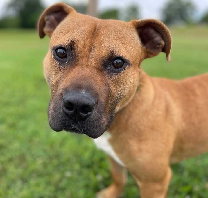 Photo of Coco