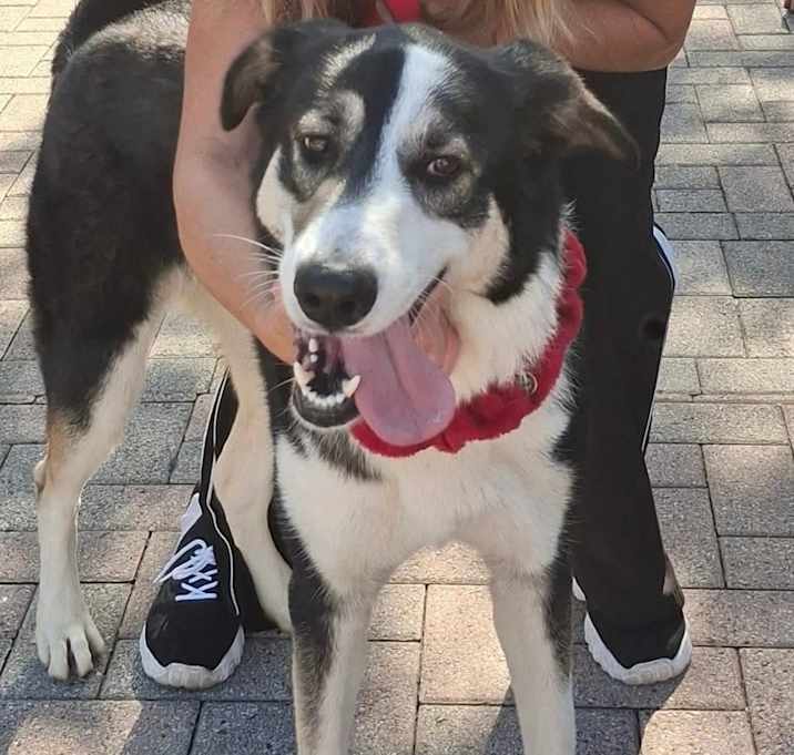 Photo of Elsa