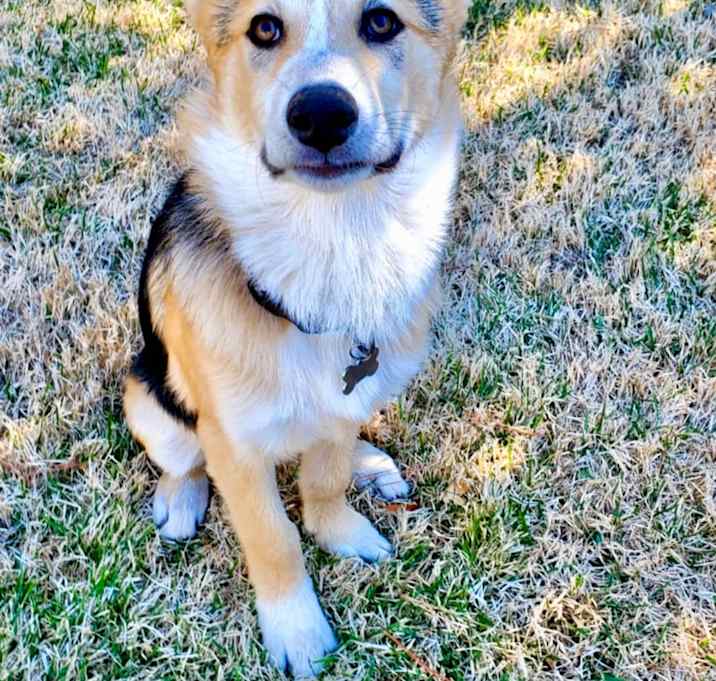 Photo of Lucy