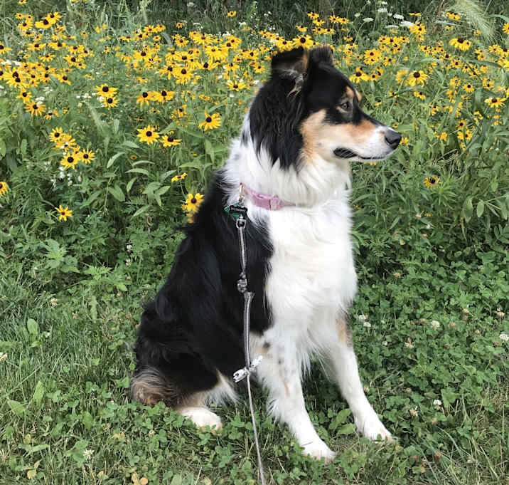 Photo of Fiona