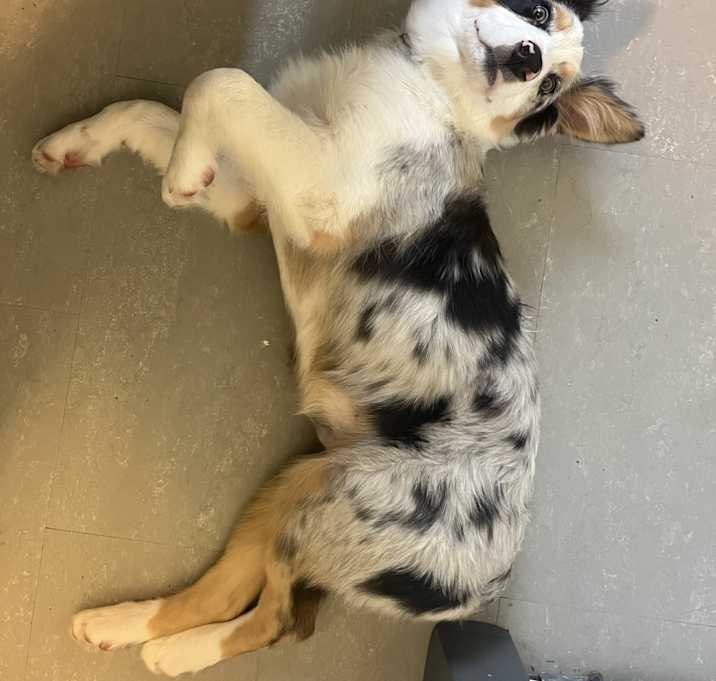 Photo of Waldo