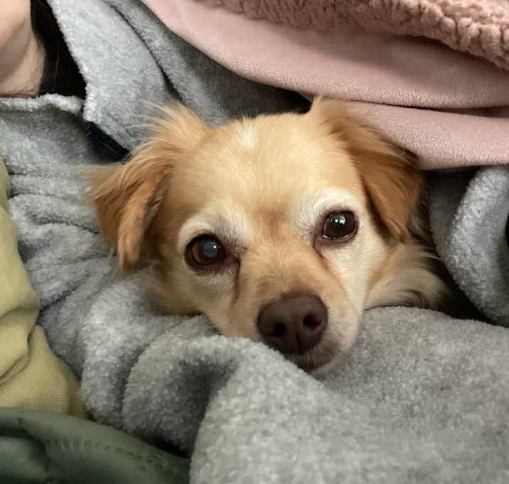 Photo of Vinny