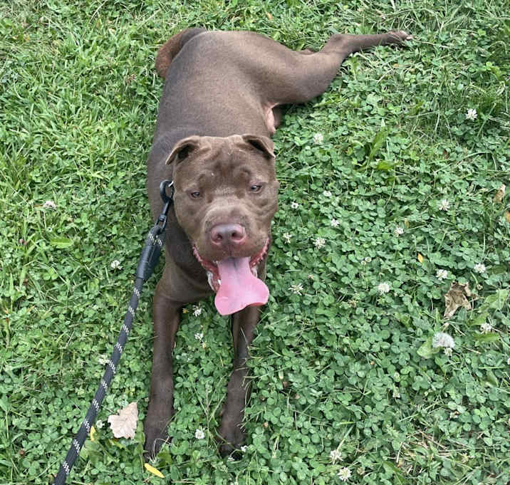 Photo of Max