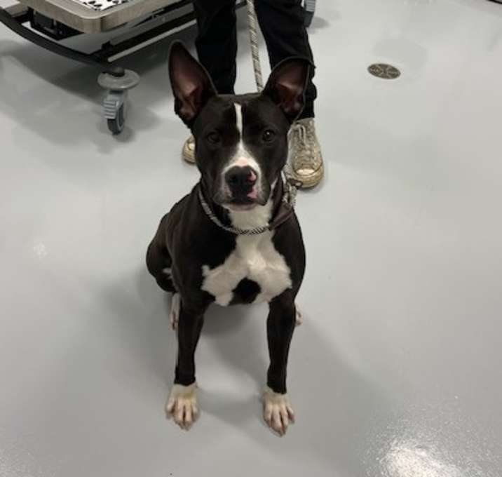 Photo of Marnie