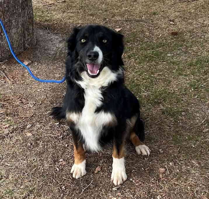 Photo of Buzz
