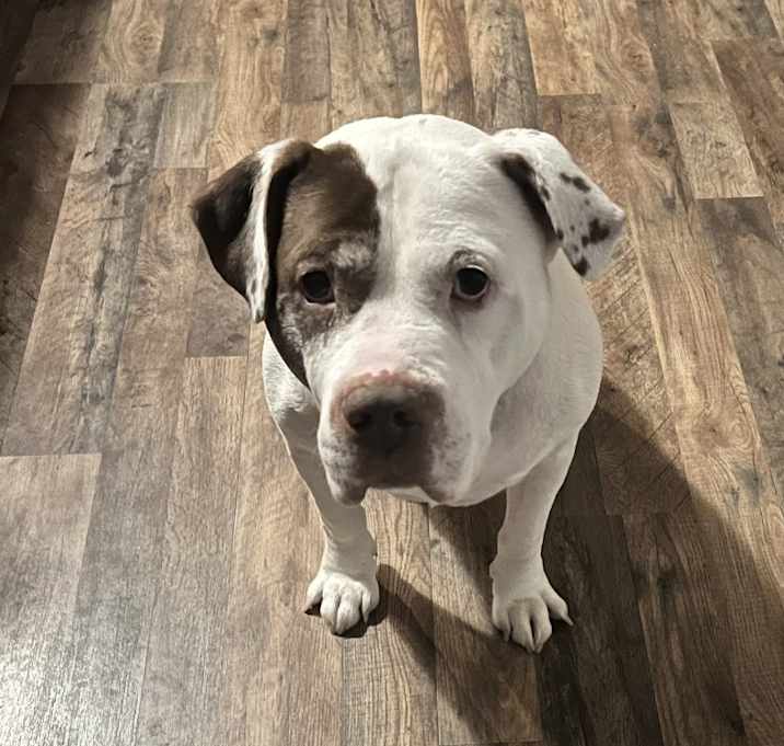 Photo of Rosco