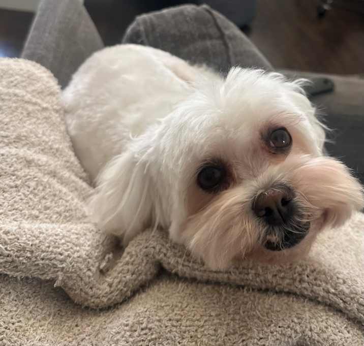 Photo of Sammy