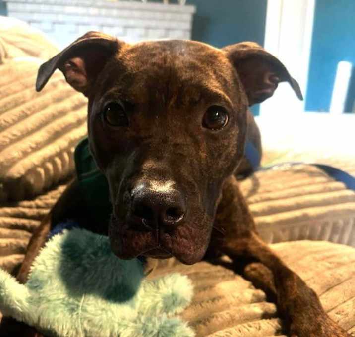 Photo of Arlo