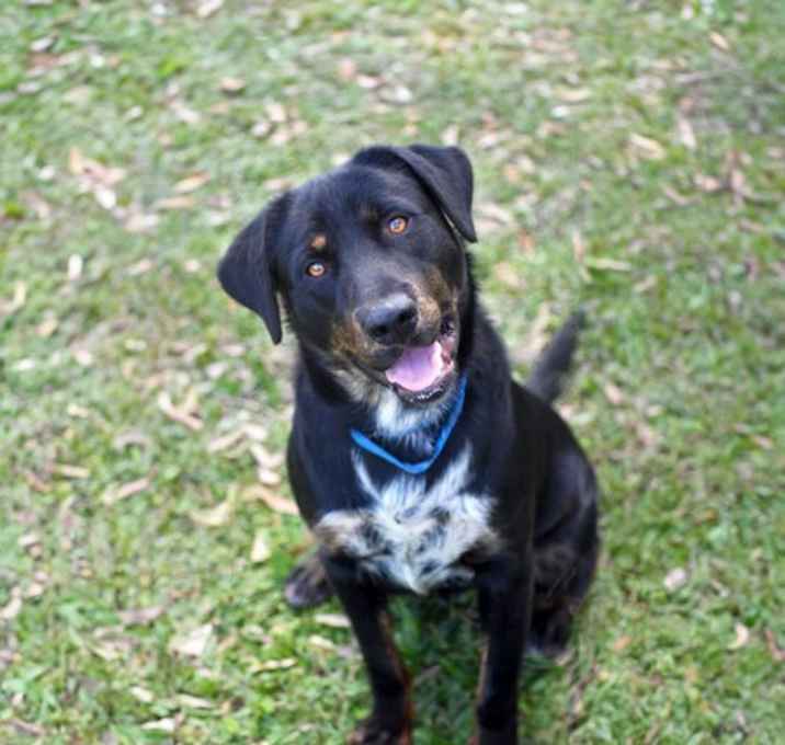 Photo of Jack