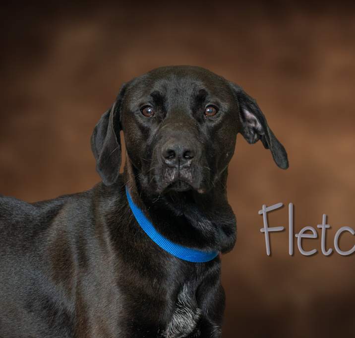 Photo of Fletch