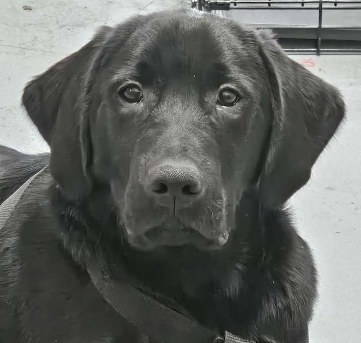 Photo of Felix