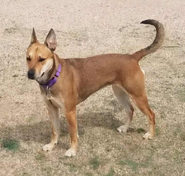 Photo of Sammie