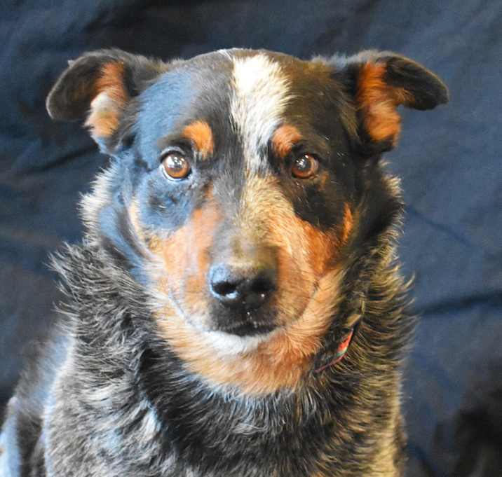 Photo of Winslow