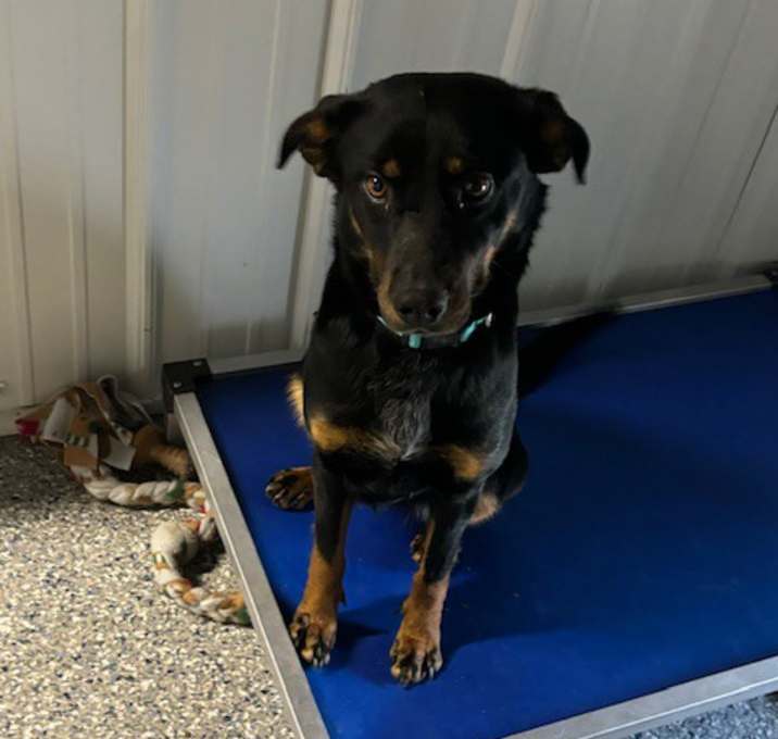 Photo of Hope