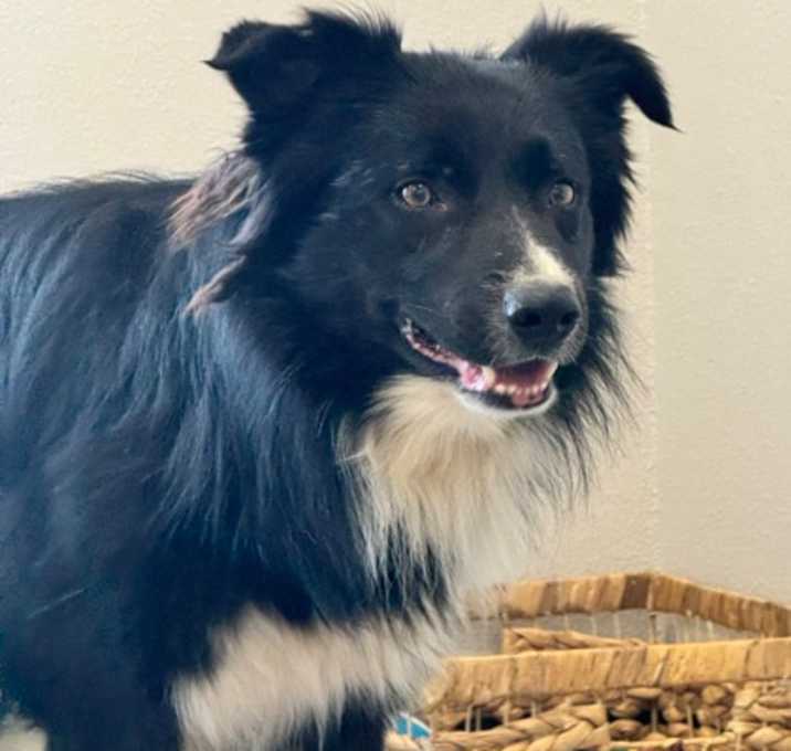Photo of Myles