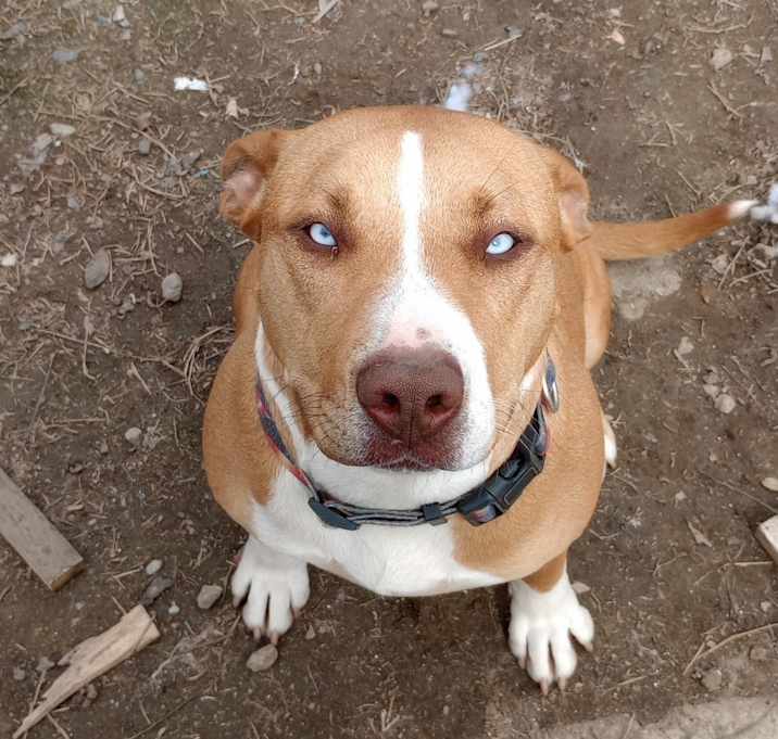 Photo of Roxy