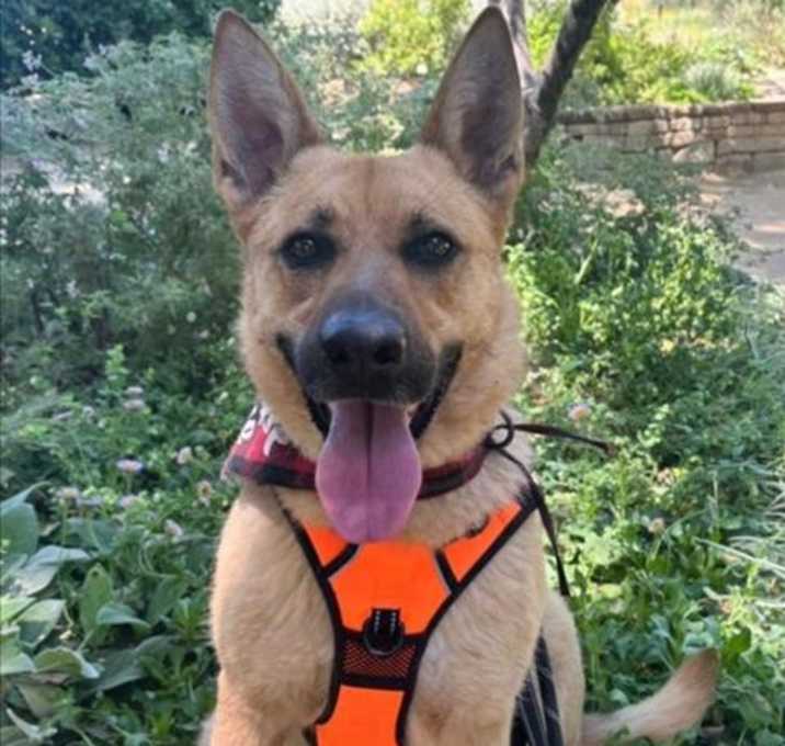 Photo of LEXI
