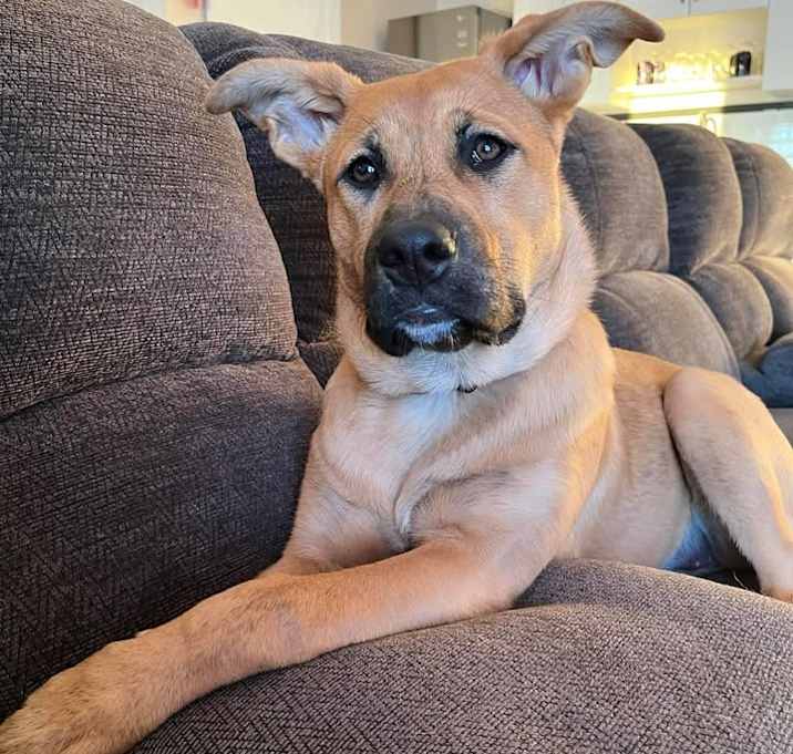 Photo of Honey