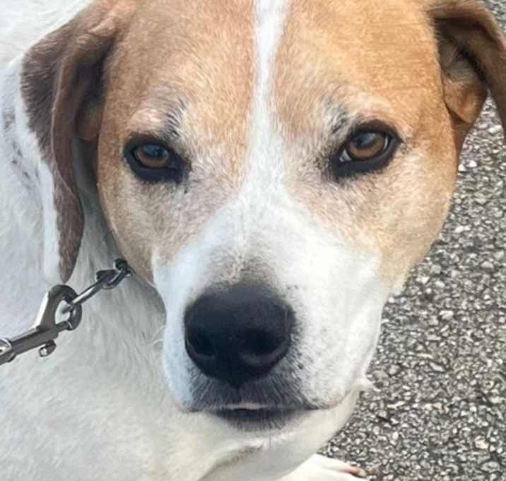 Photo of Fonzie