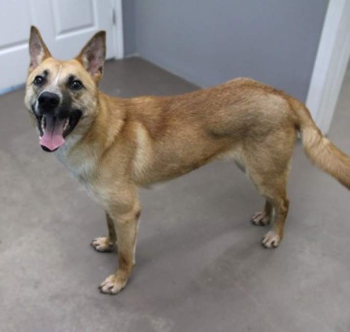 Photo of Taz
