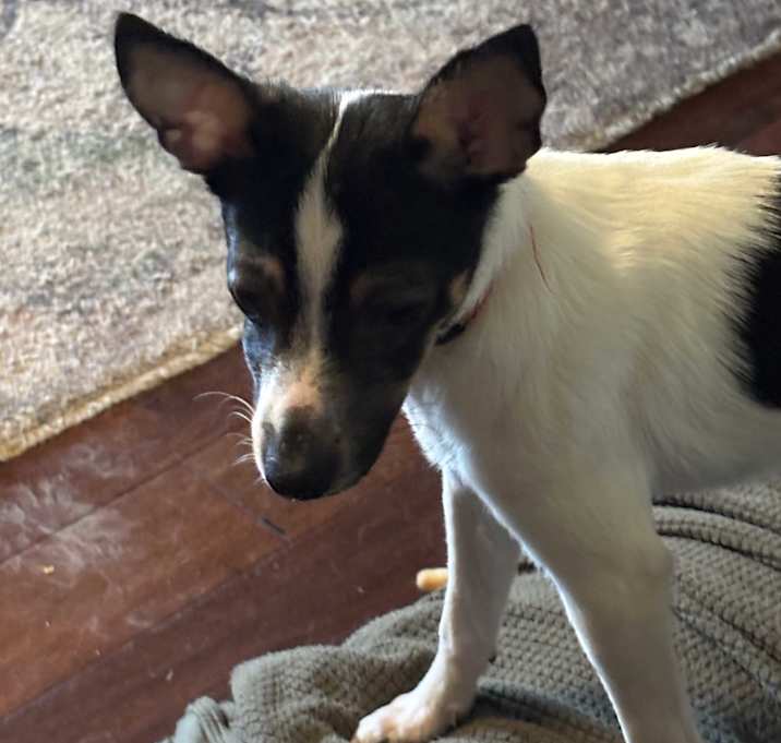 Photo of Maisy