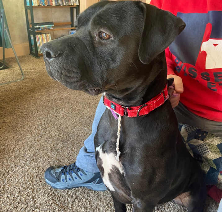 Photo of Onyx