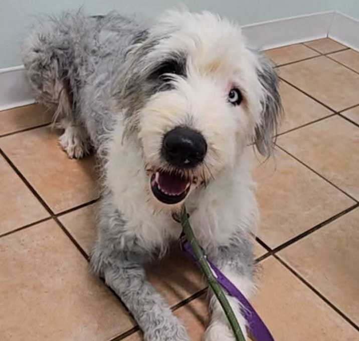 Photo of Annie