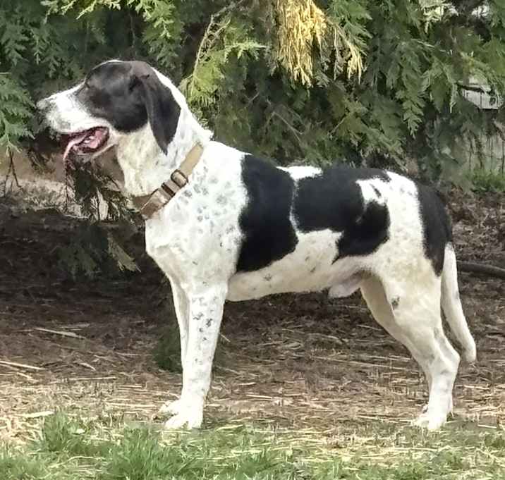 Photo of Hubert