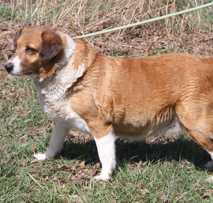 Photo of Olive