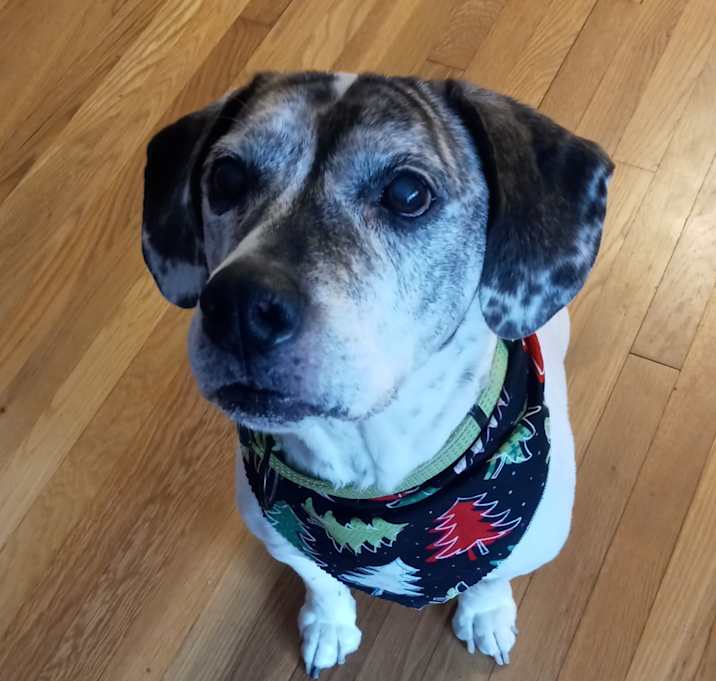 Photo of Hunter