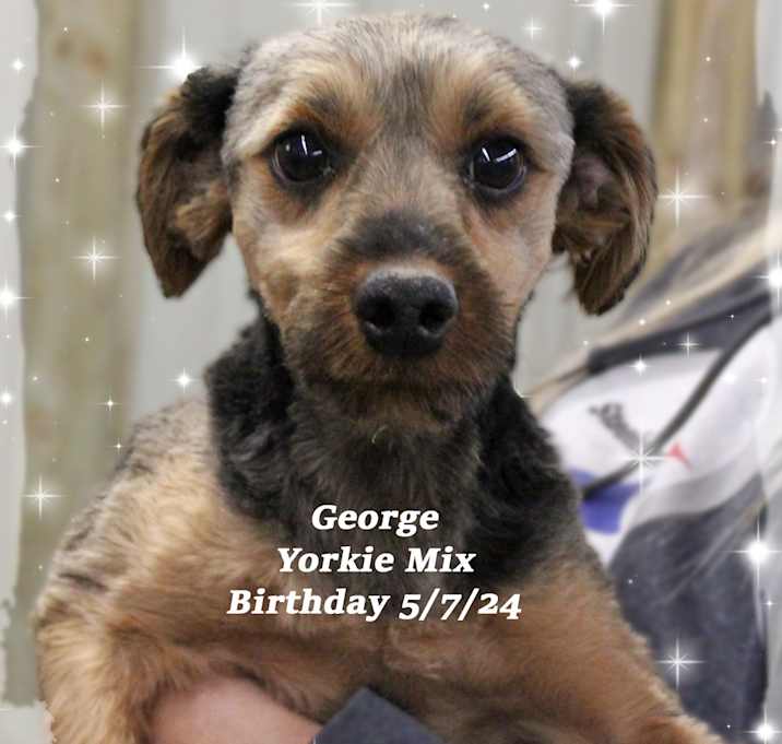 Photo of George