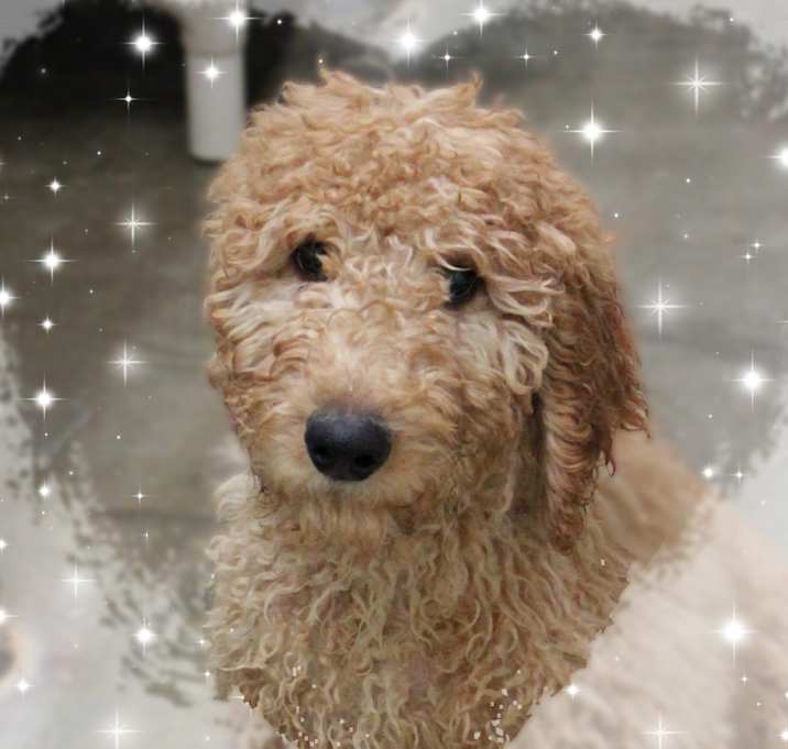 Photo of TJ