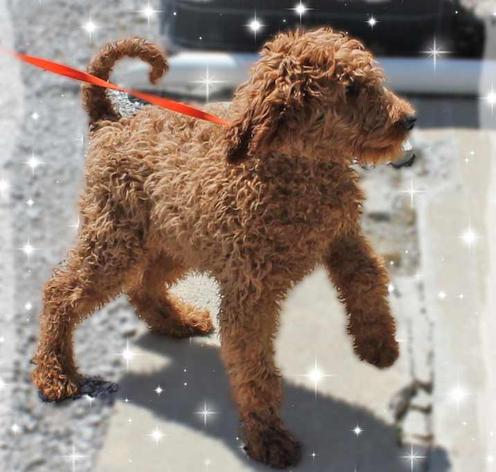 Photo of Trent
