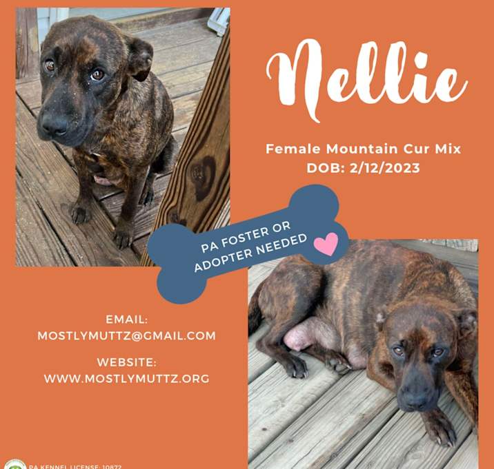 Photo of Nellie