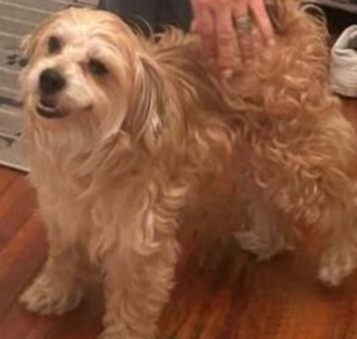 Photo of Duke